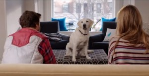 whogetsthedogscreen1