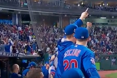 chicagocubscollectorsedscreen